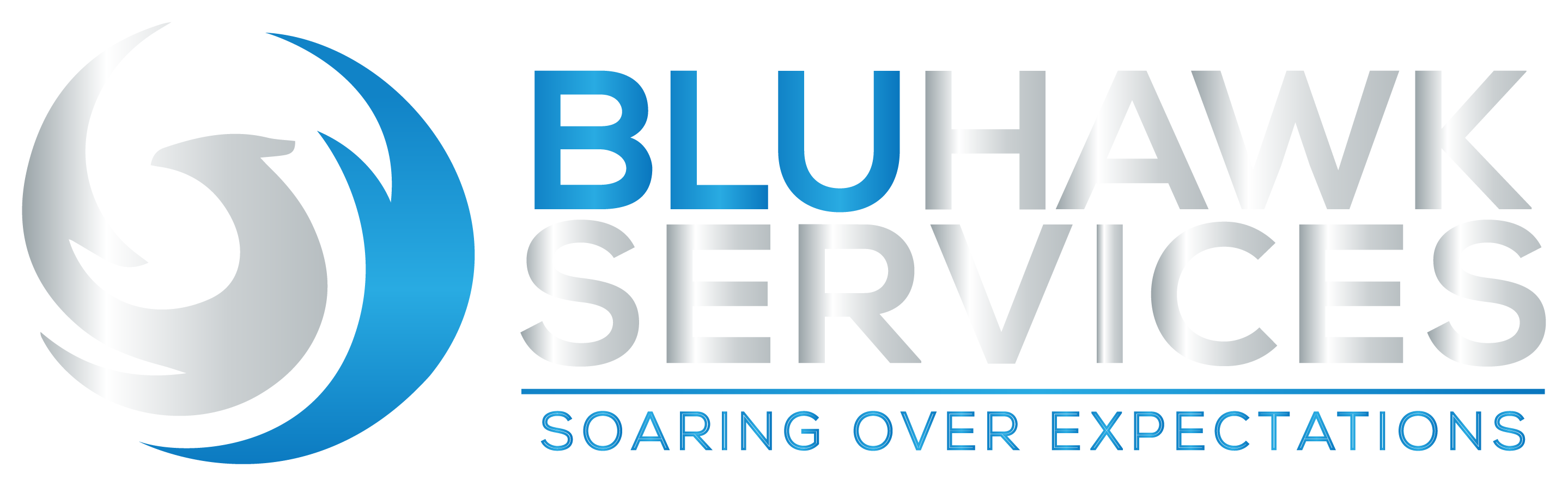 BluHawk Services — Soaring Over Expectations